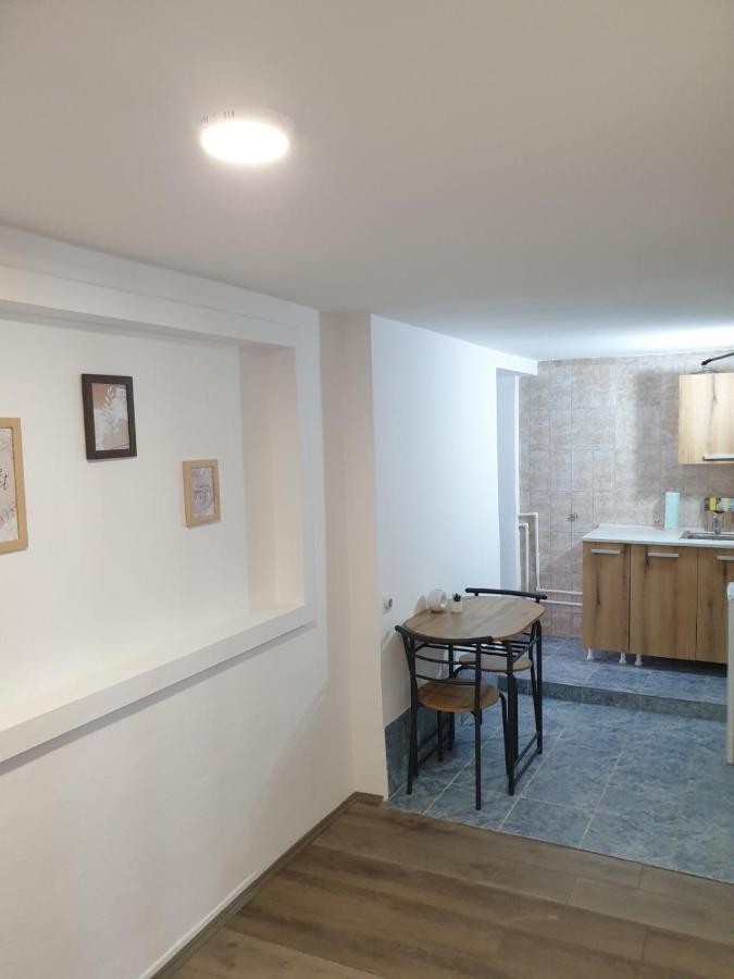 Fenix Apartman II Зайечар Екстериор снимка