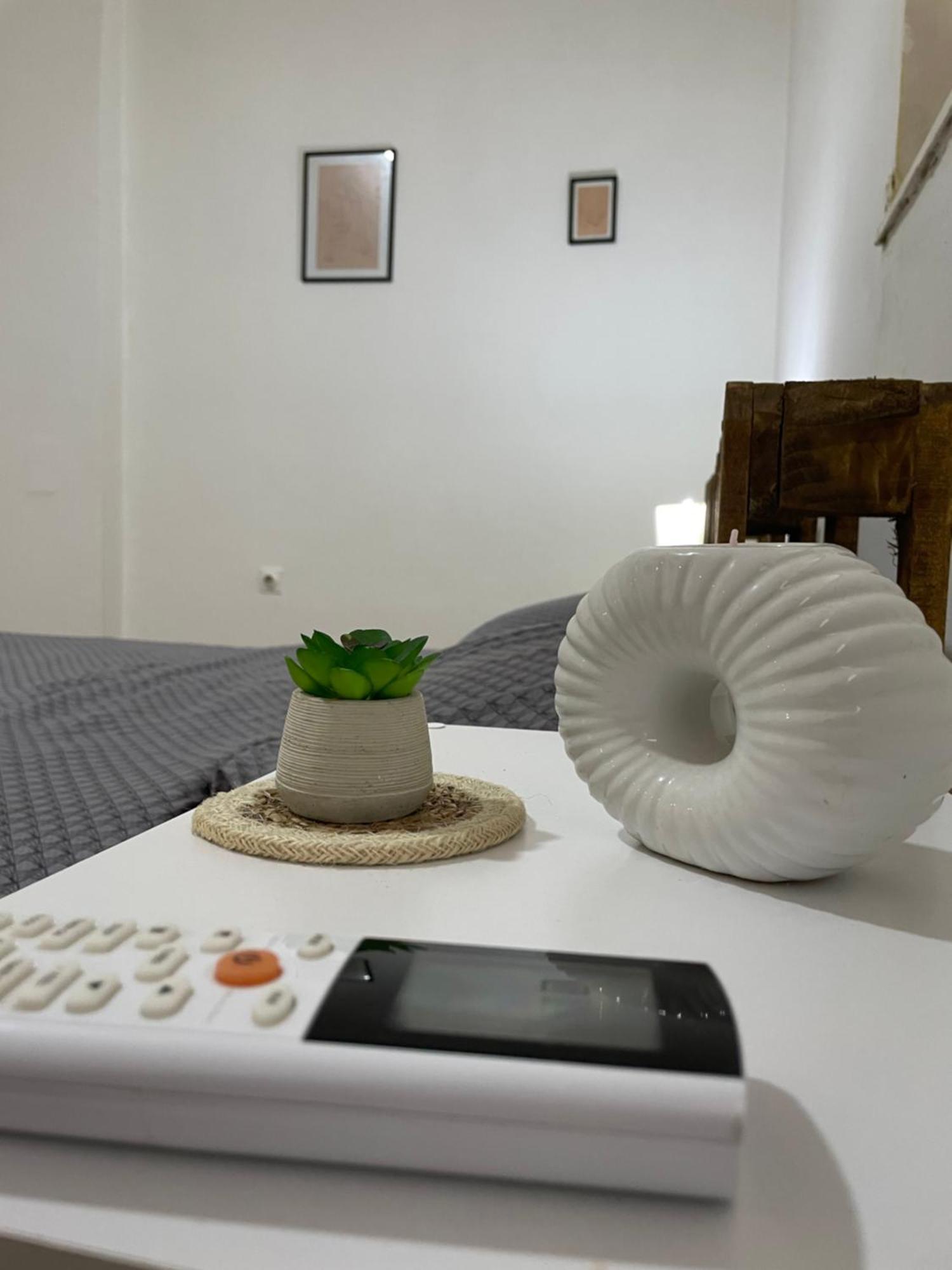 Fenix Apartman II Зайечар Екстериор снимка