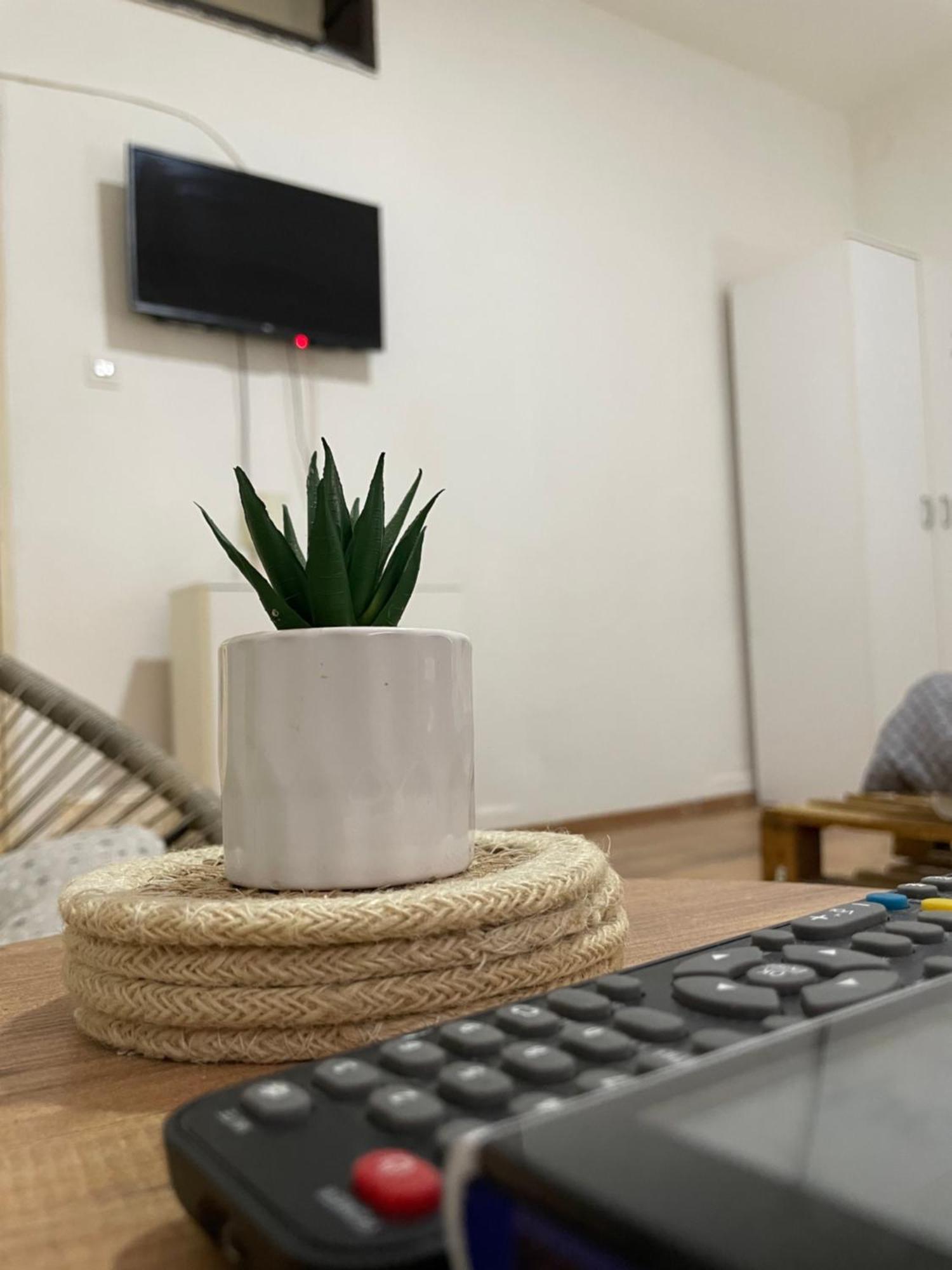 Fenix Apartman II Зайечар Екстериор снимка